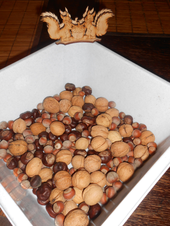 ТН Времена Года. День четвертый Осень (мой долг)