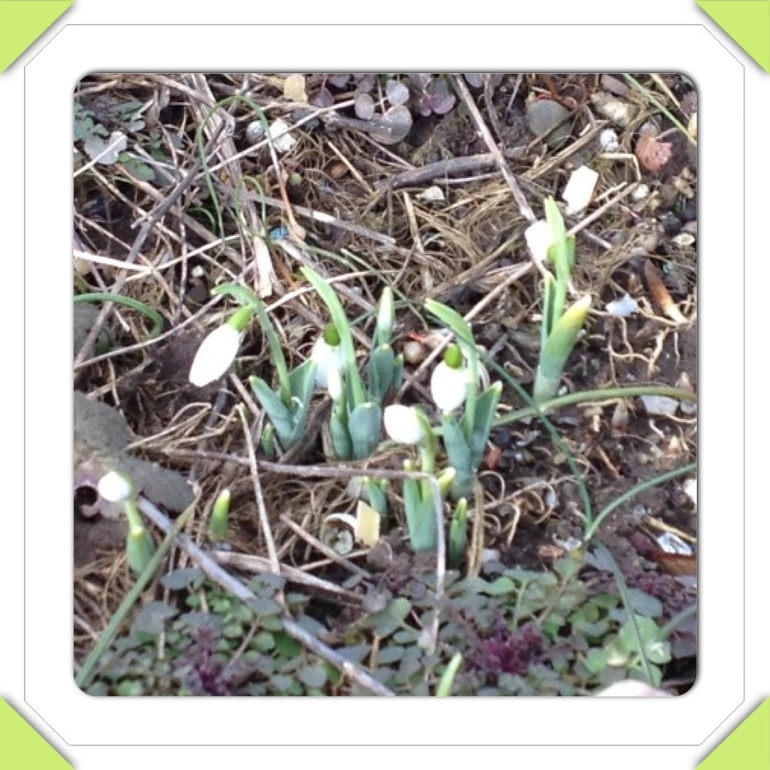 12 месяцев и куда пойти с ребенком в Москве