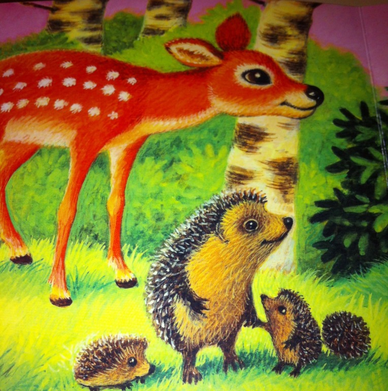 Книжки игрушки-картонки. 1 год и 5 месяцев.