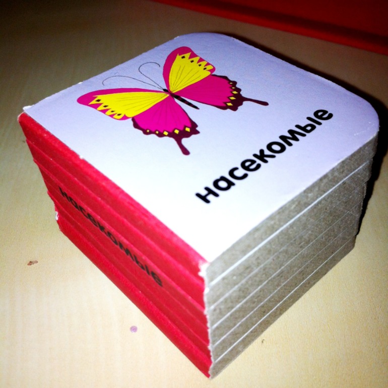 Книжки игрушки-картонки. 1 год и 5 месяцев.