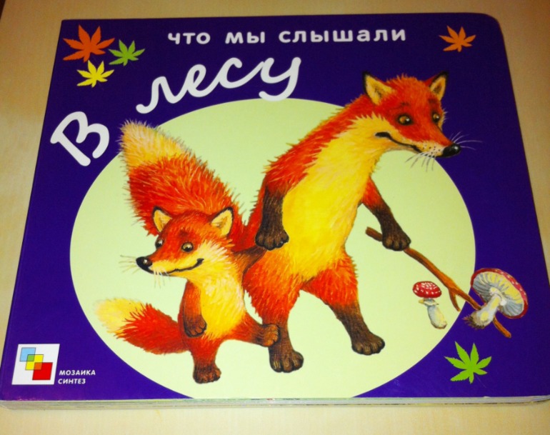 Книжки игрушки-картонки. 1 год и 5 месяцев.