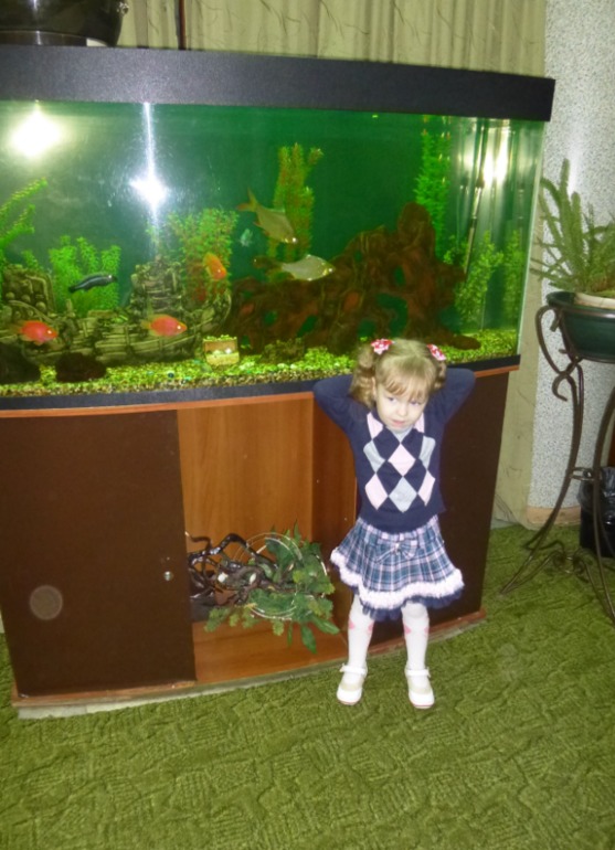 *Театр*кукол*Жар*птица*