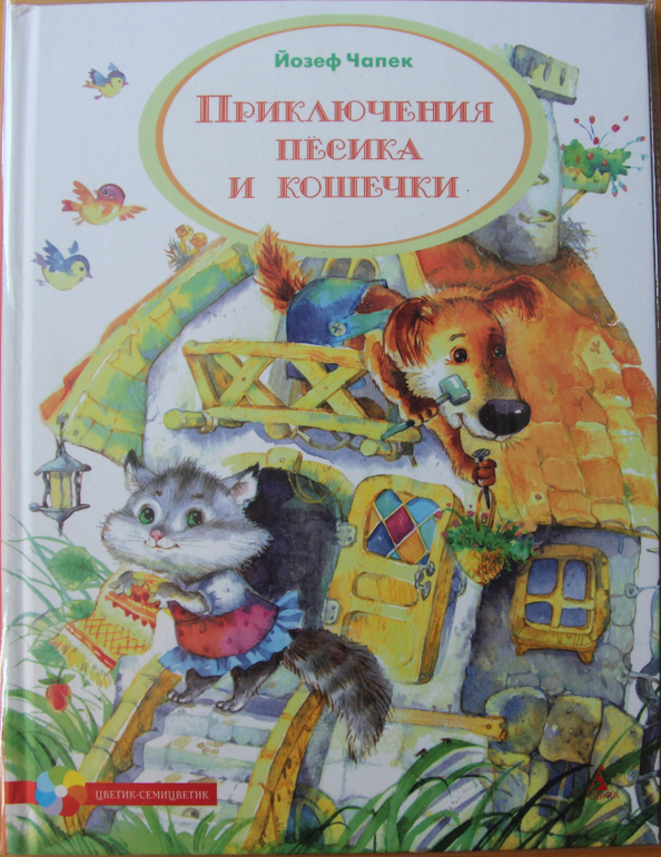 Результаты и ответы викторины