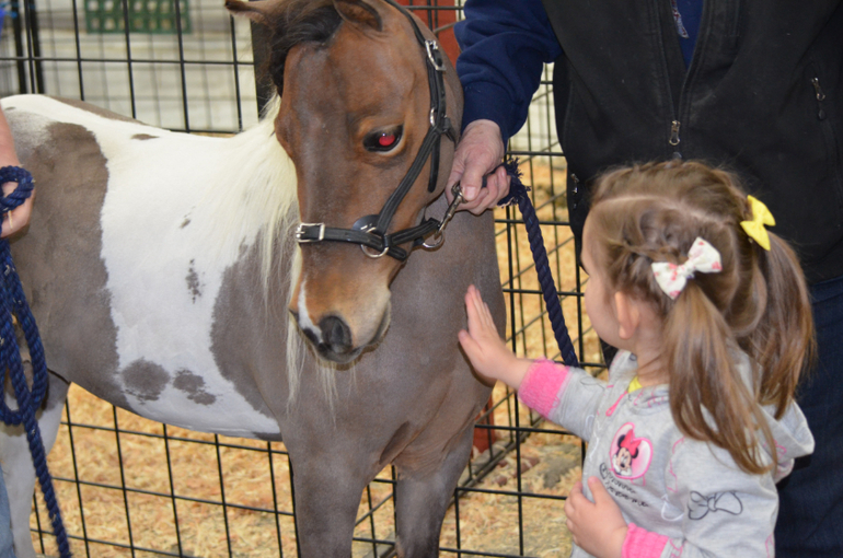 И вновь наши замечательные выходные!