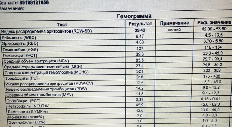 Ширина распределения эритроцитов: норма, повышена, …