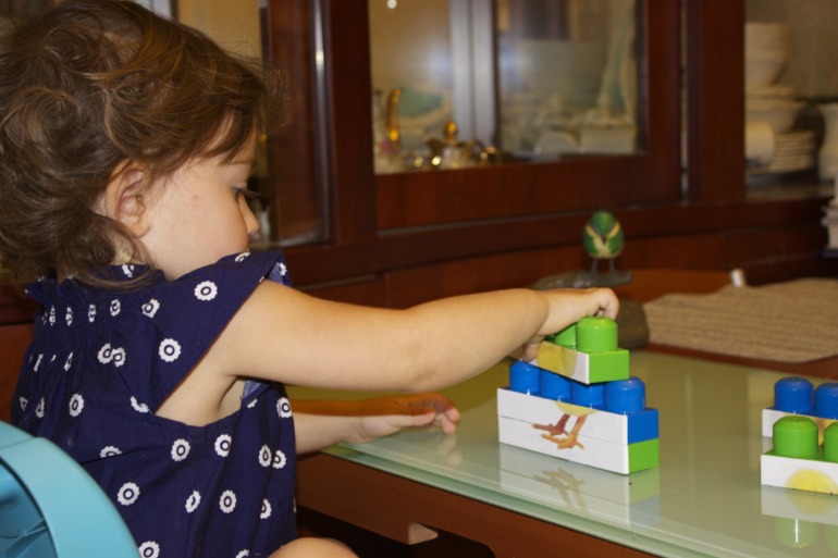 Птичья неделя. Много фото