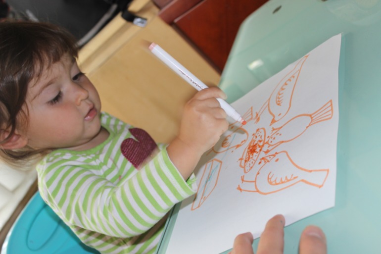 Птичья неделя. Много фото