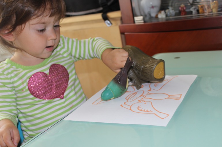 Птичья неделя. Много фото