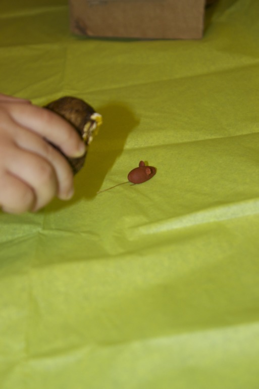 Птичья неделя. Много фото