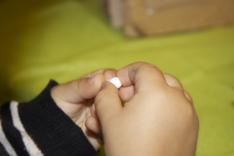 Птичья неделя. Много фото