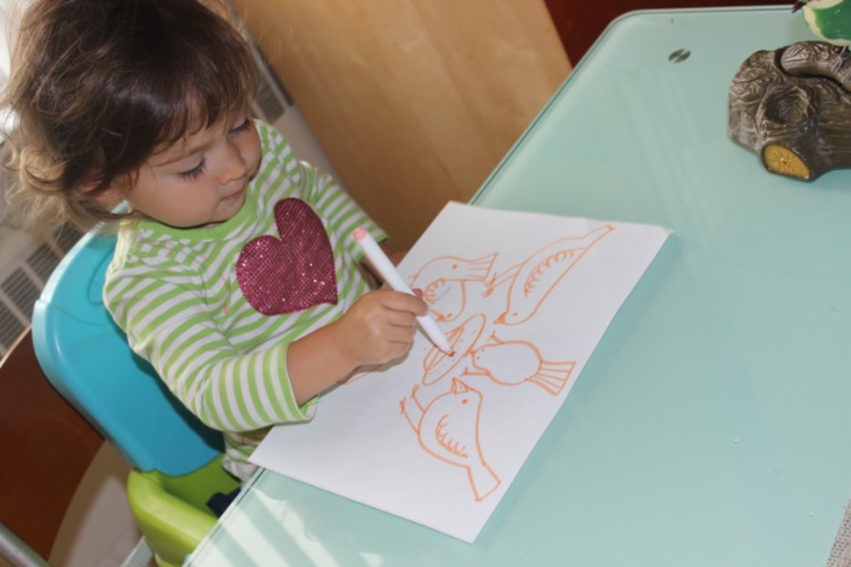 Птичья неделя. Много фото