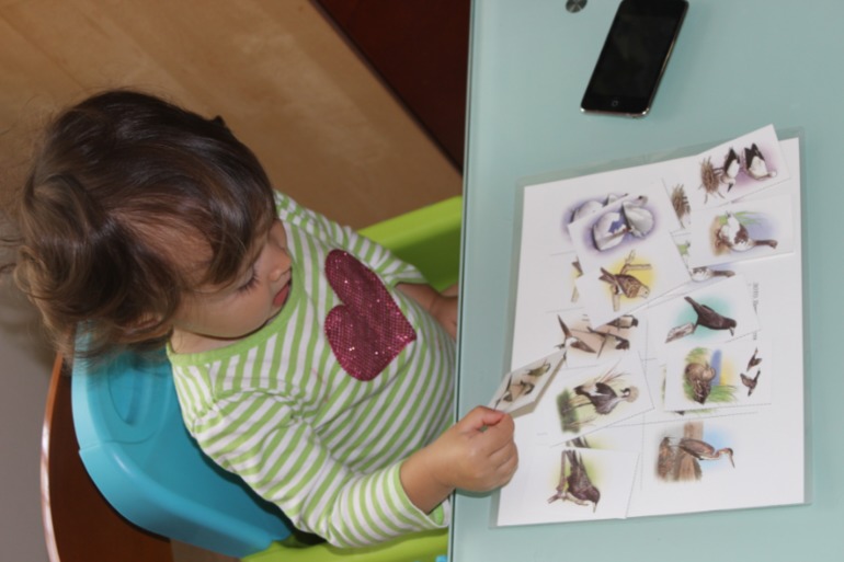 Птичья неделя. Много фото