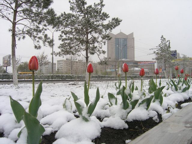 А в Оренбурге снова зима