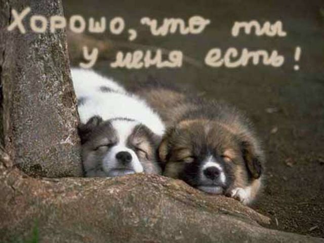 1650de1113bfa934e0f3b7e46e764a1c.jpg