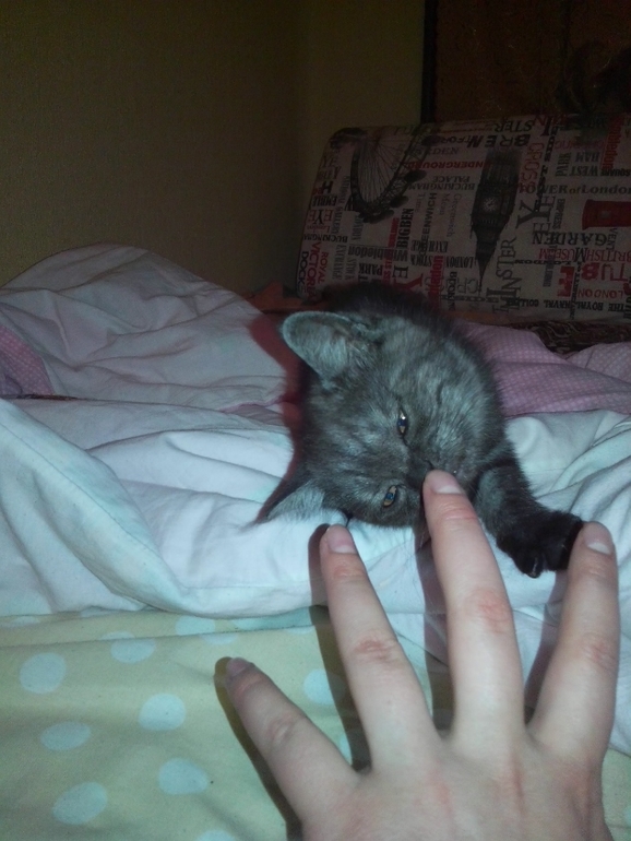 Как назвать?