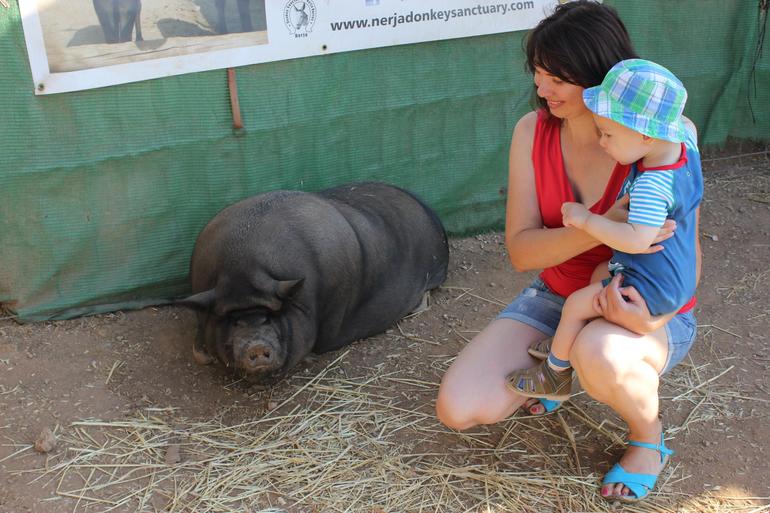 Испания с ребенком 1 и 2 месяца.
