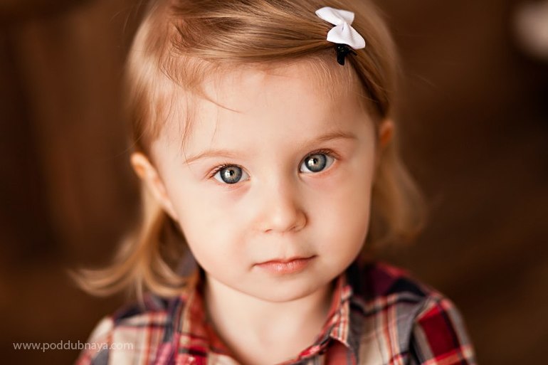 василиске 2,6