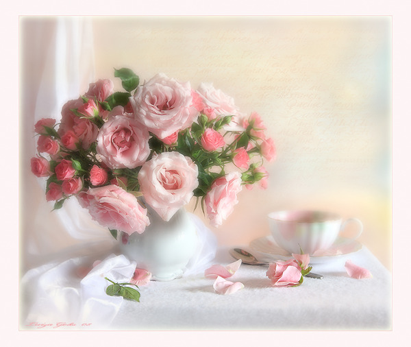 beaf98c8e3bfc86fcb7910a772927df6.jpg