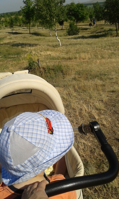 жизнь кочевая)