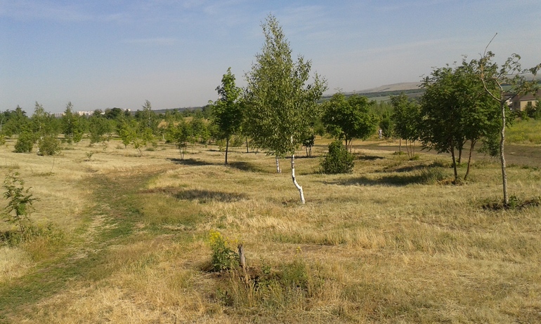 жизнь кочевая)