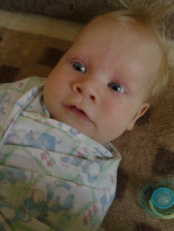 Мартину 3 мес.