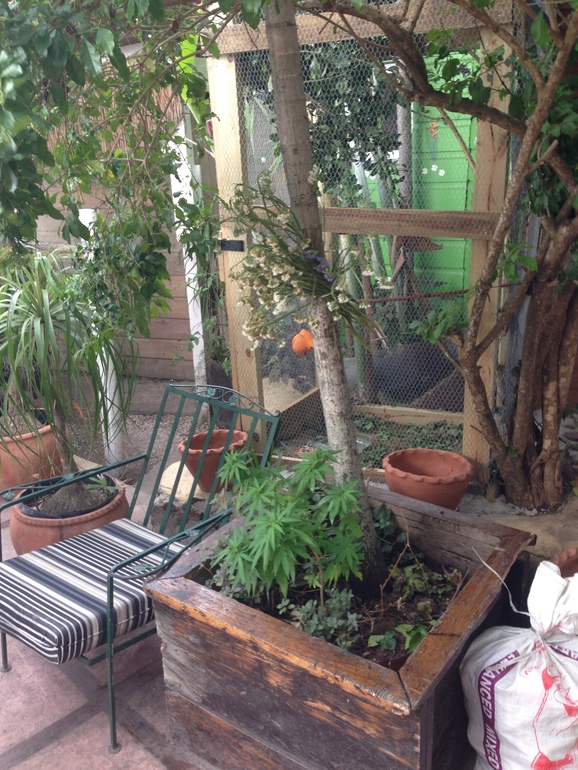 Отдых на Ямайке БЕЗ детей!!!