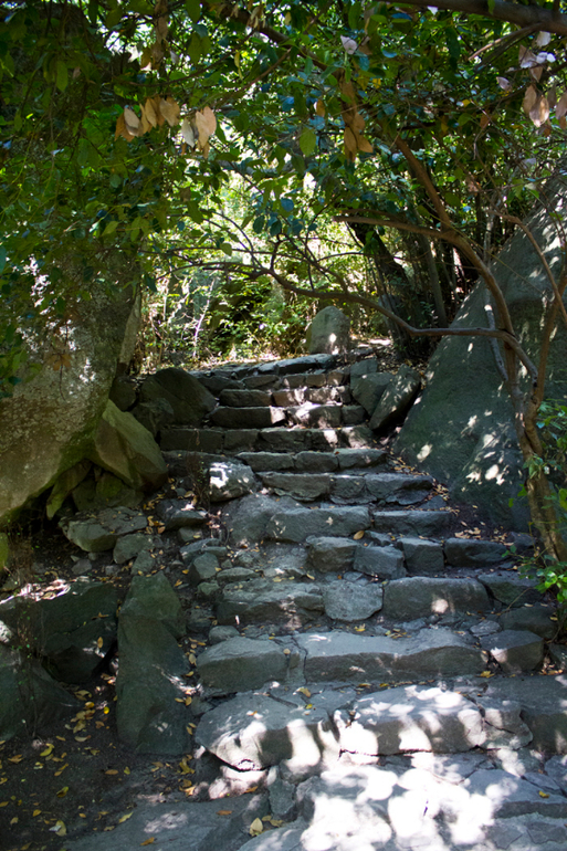 Нимфы в Алупкинском саду. Воронцовский парк