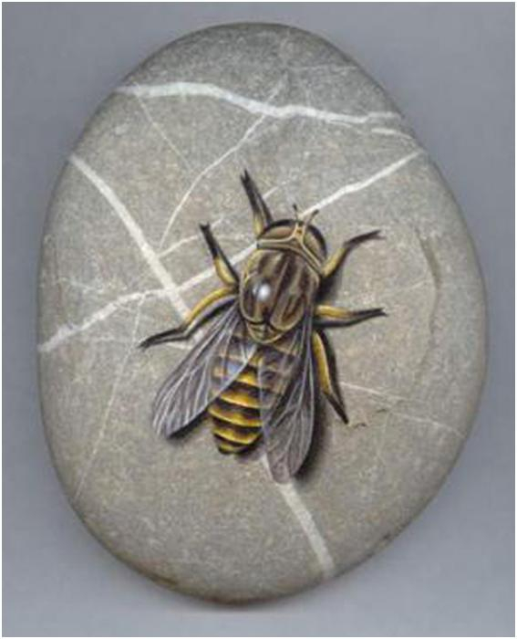 Морские камушки