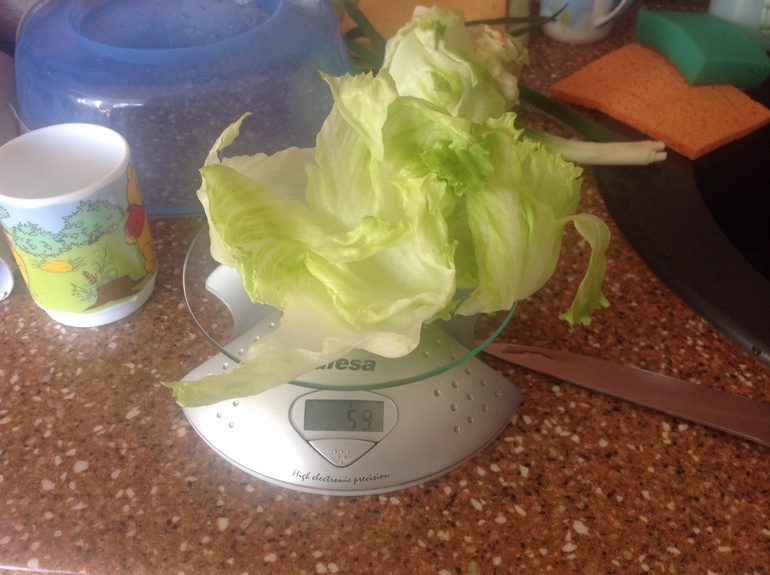 Пищевой эксперимент