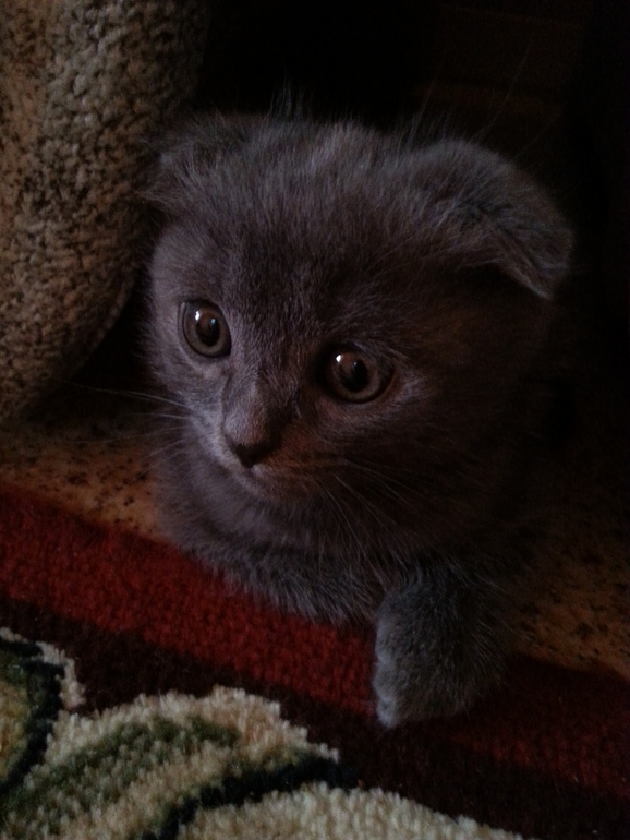 Фотобатл, кто красивее?