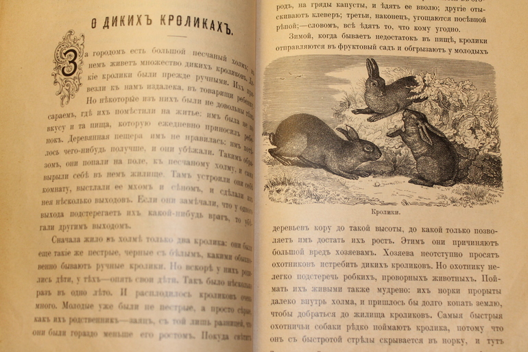 Семейная библиотека.