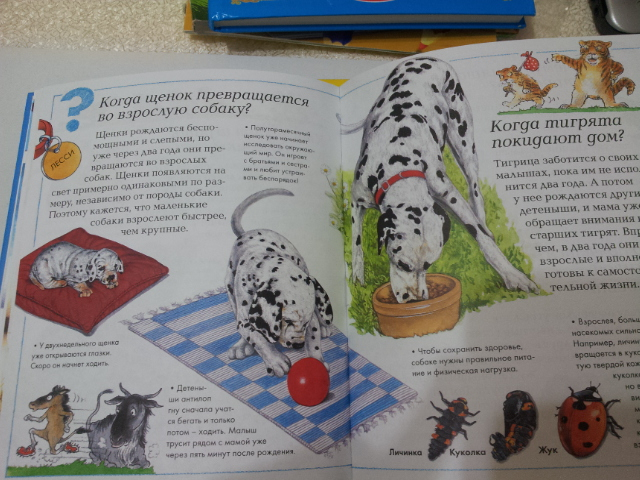 последние приобретения