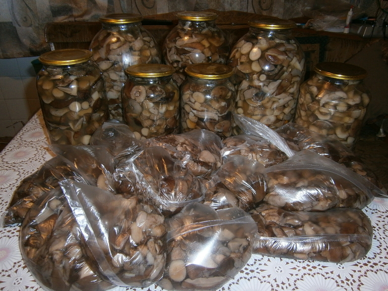 Поток 23 \ Урок №11