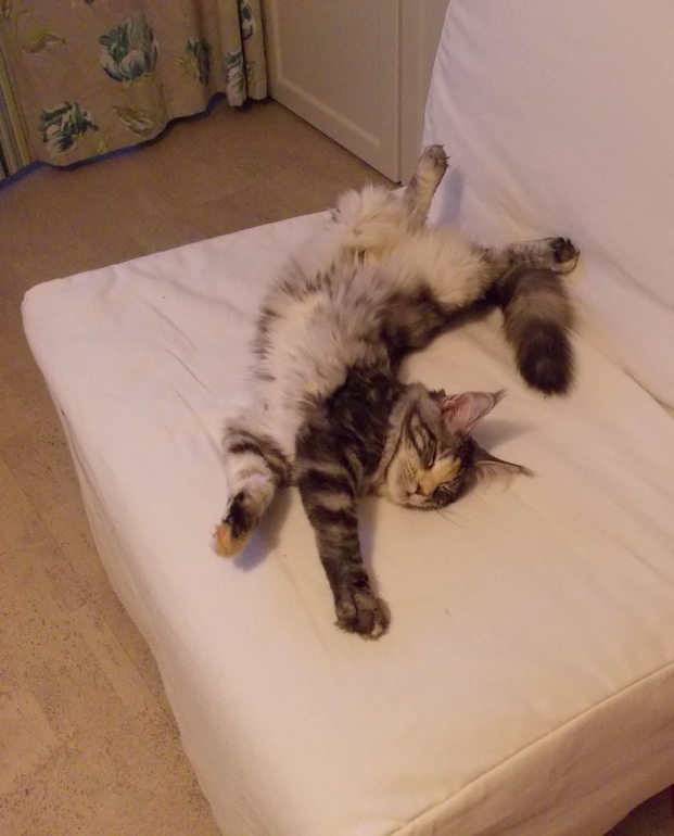 Как наша хохлушка живет в России...