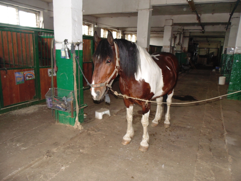 КСК последнее занятие этого сезона