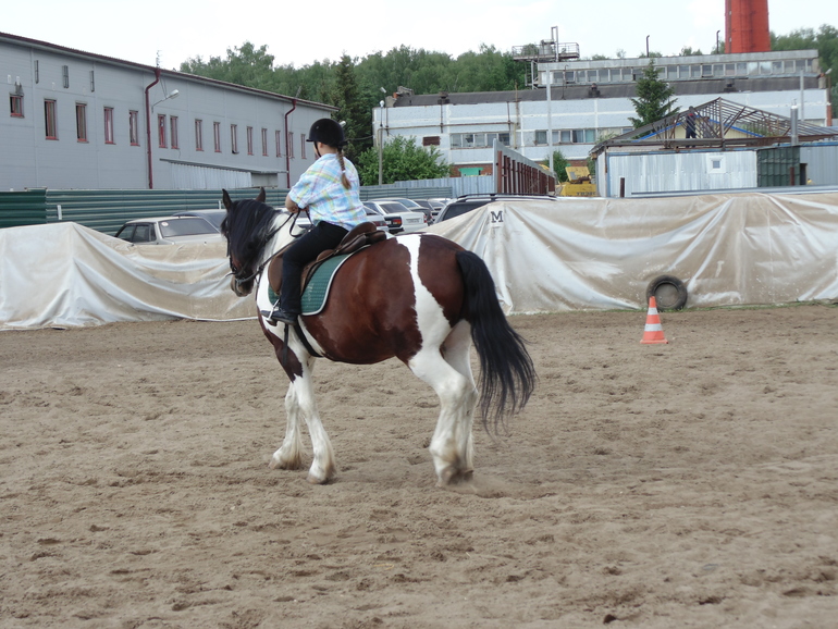 КСК последнее занятие этого сезона