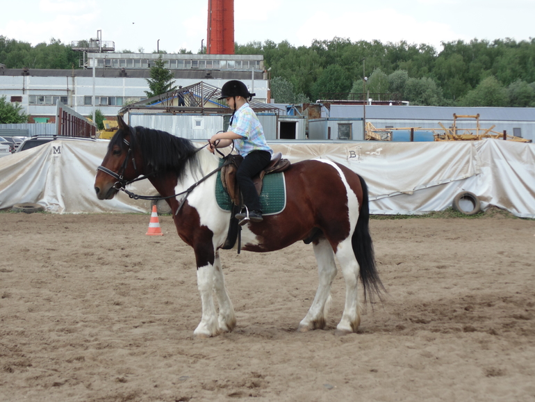 КСК последнее занятие этого сезона