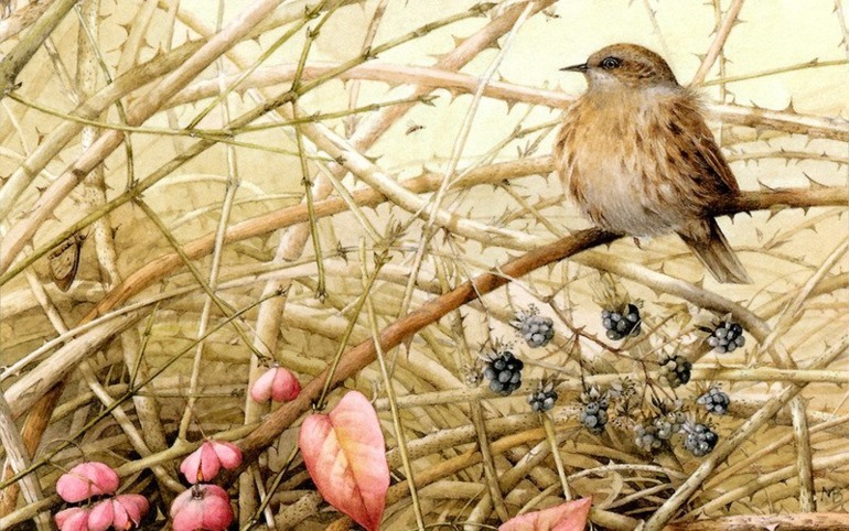 Работы художника Bastin Marjolein