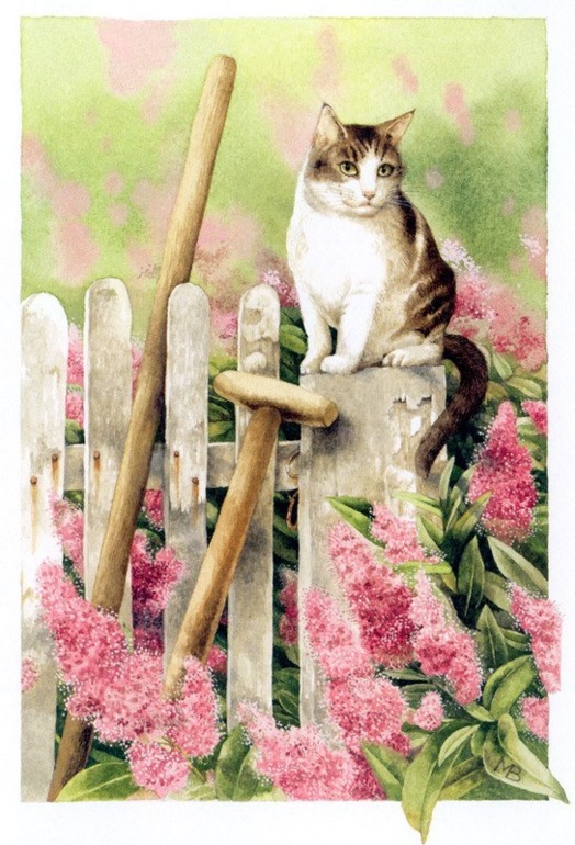 Работы художника Bastin Marjolein