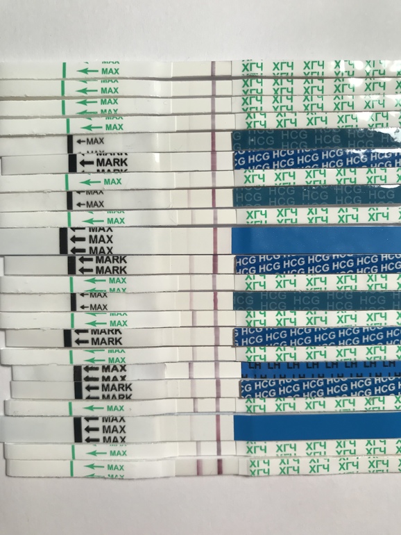 Восьмой день после зачатия. 5 день после зачатия. 5 дней после зачатия признаки. 5 дней после зачатия признаки. Хгч на 16 день после овуляции.