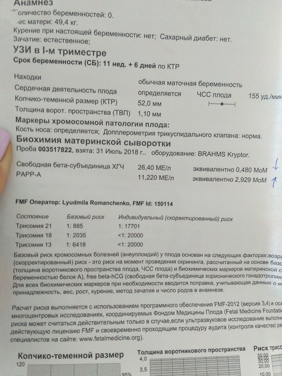 Биохимический скрининг что это. УЗИ скрининг 1 триместра. Биохимический скрининг 1 триместра.