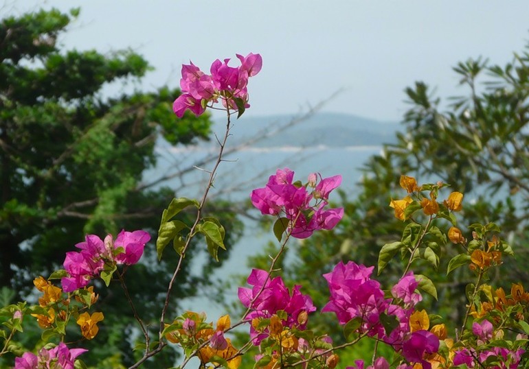 Для тех кому грустно и хочется весны....