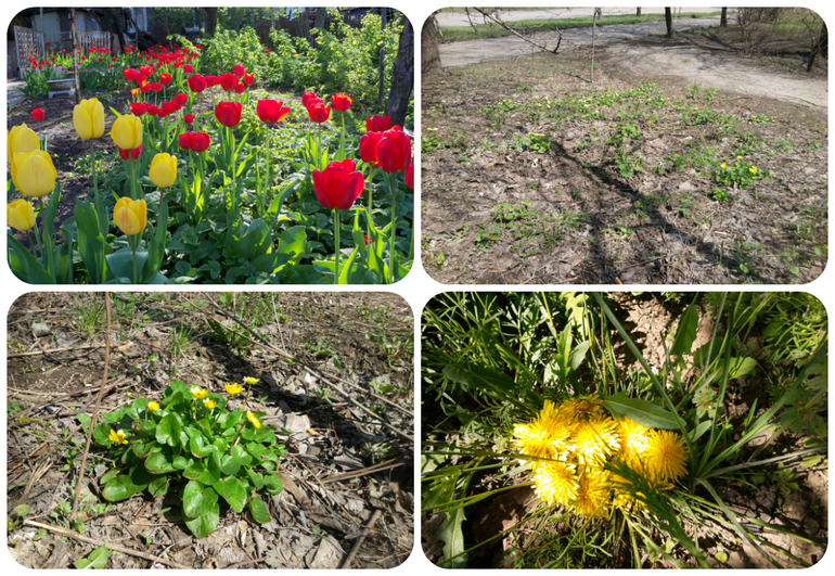 Наше весеннее в 2014. Миру год и 10-11 мес.