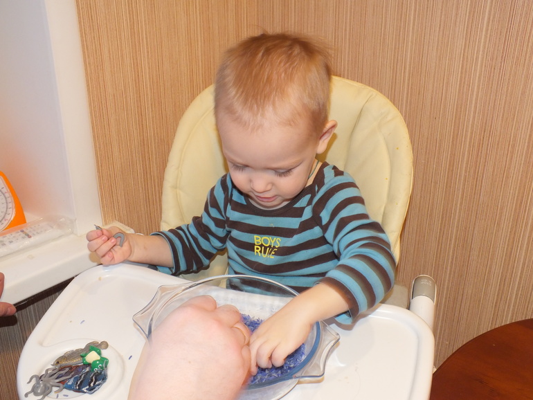 ТН подводный мир и его обитатели.