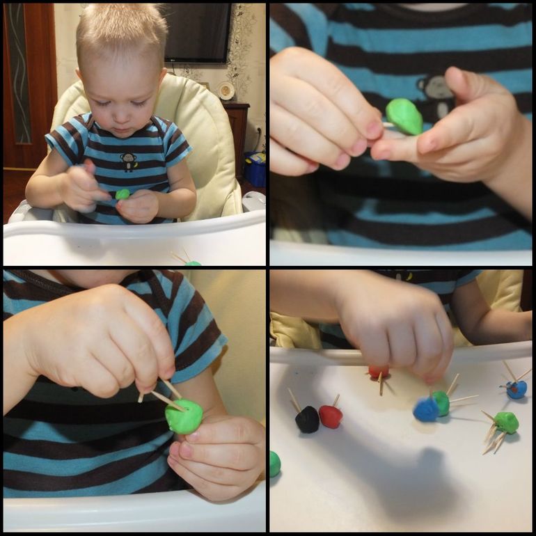 ТН подводный мир и его обитатели.