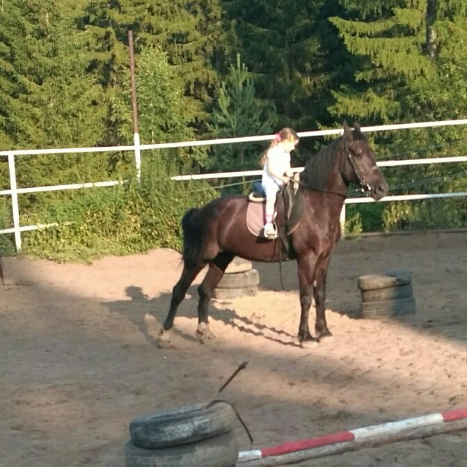 На коне