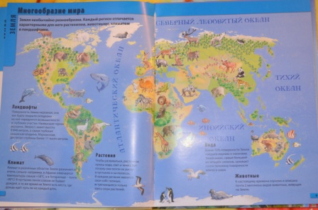 неоднозначные впечатления