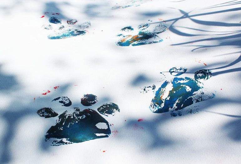 Девочка с тигриными следами