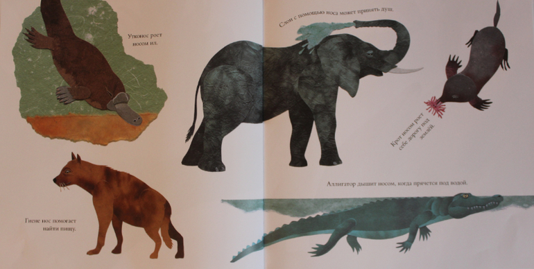 Наша книжная жизнь