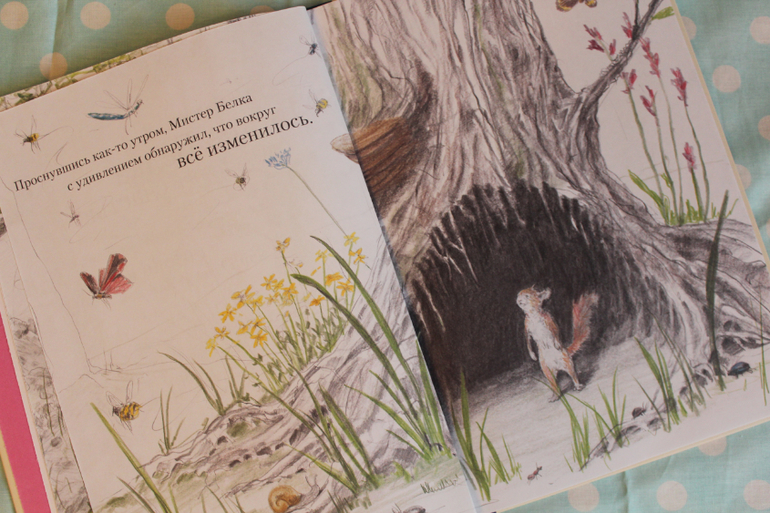 Наша книжная жизнь